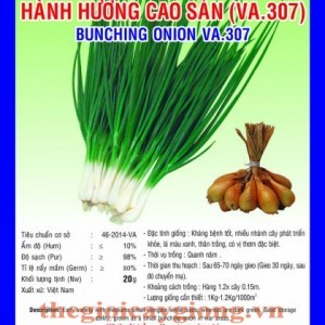 hanh huong cao san va307