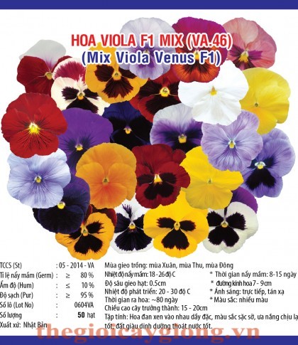 viola f1 mix va46